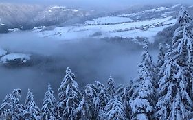 Forchnerhof Panorama- Rienzschlucht